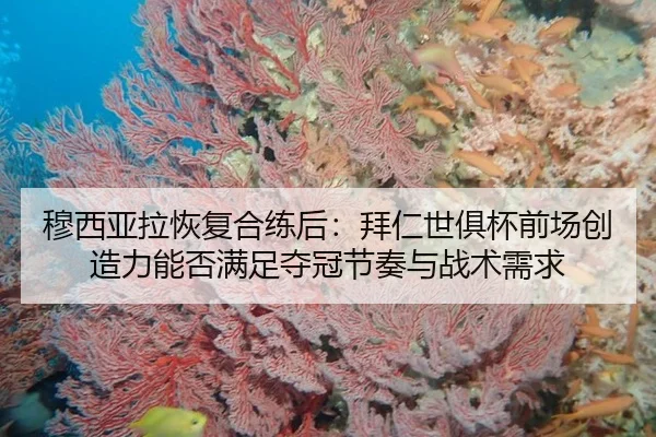 穆西亚拉恢复合练后：拜仁世俱杯前场创造力能否满足夺冠节奏与战术需求 - j9 game