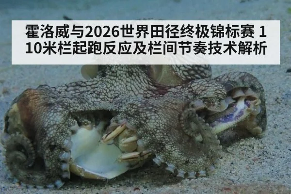 霍洛威与2026世界田径终极锦标赛 110米栏起跑反应及栏间节奏技术解析